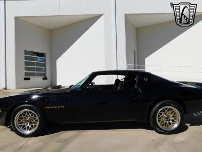 1981 Pontiac Trans Am