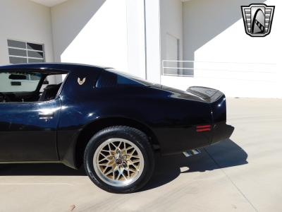 1981 Pontiac Trans Am