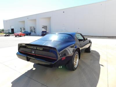 1981 Pontiac Trans Am