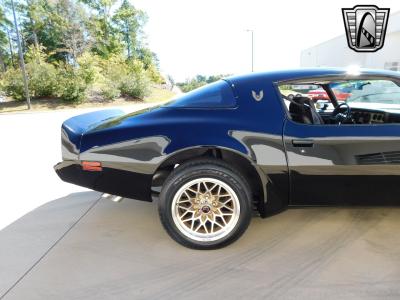 1981 Pontiac Trans Am