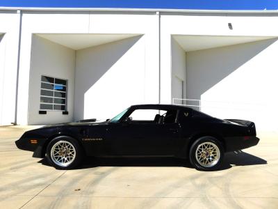 1981 Pontiac Trans Am