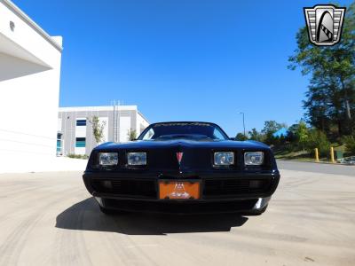 1981 Pontiac Trans Am