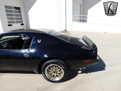 1981 Pontiac Trans Am