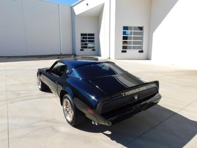 1981 Pontiac Trans Am