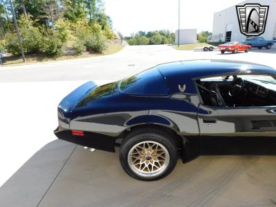 1981 Pontiac Trans Am