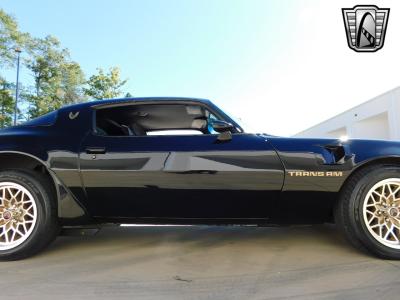 1981 Pontiac Trans Am