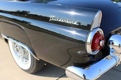 1955 Ford Thunderbird