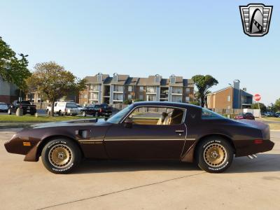 1981 Pontiac Firebird