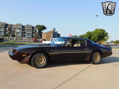 1981 Pontiac Firebird