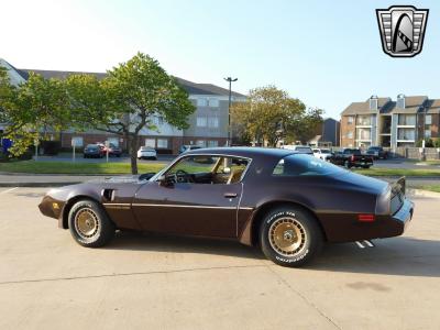 1981 Pontiac Firebird