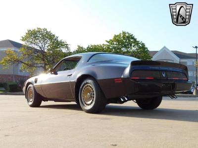 1981 Pontiac Firebird