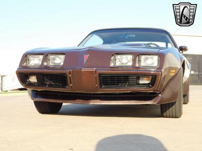 1981 Pontiac Firebird