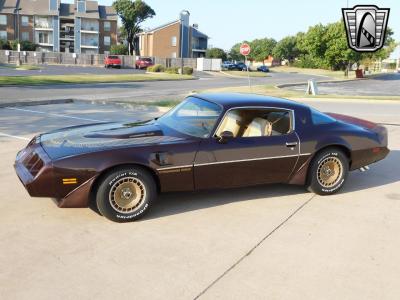 1981 Pontiac Firebird