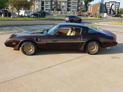 1981 Pontiac Firebird