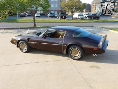 1981 Pontiac Firebird