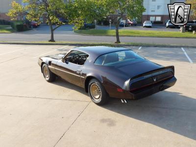 1981 Pontiac Firebird