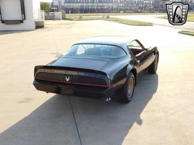 1981 Pontiac Firebird