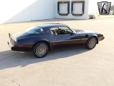 1981 Pontiac Firebird