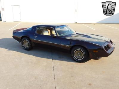 1981 Pontiac Firebird