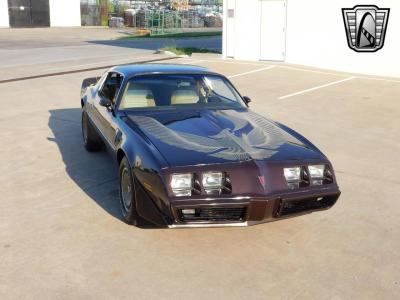 1981 Pontiac Firebird