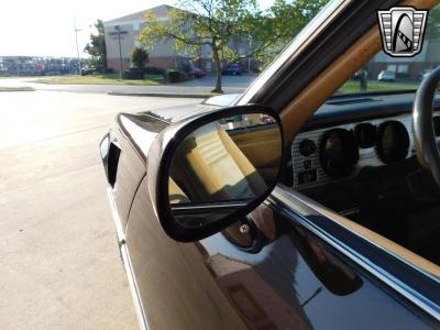 1981 Pontiac Firebird