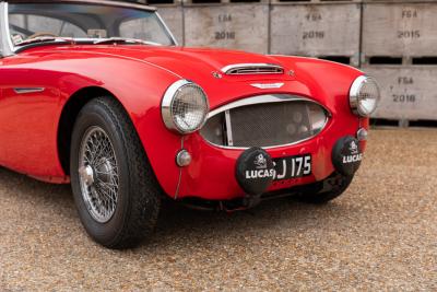 1957 Austin - Healey 100/6