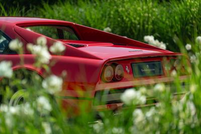 1981 Ferrari 308 GTB Carter Secco