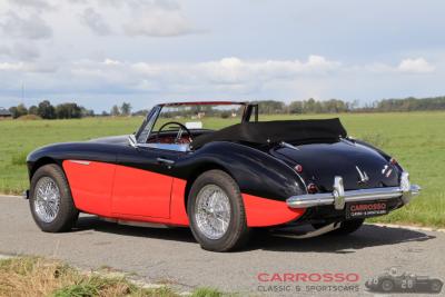 1963 Austin - Healey 3000