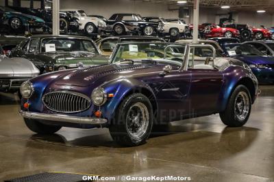 1991 Austin - Healey 3000 Replica