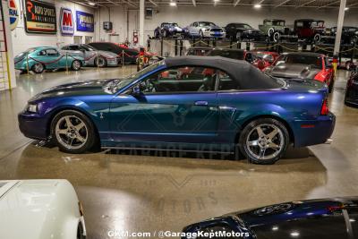 2004 Ford Mustang Cobra SVT