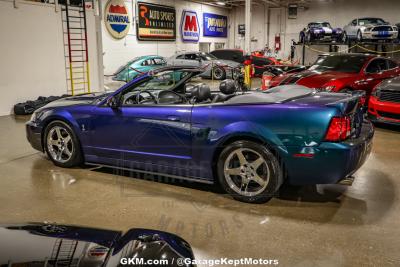 2004 Ford Mustang Cobra SVT