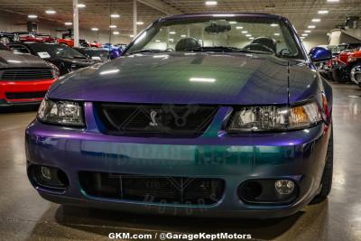 2004 Ford Mustang Cobra SVT