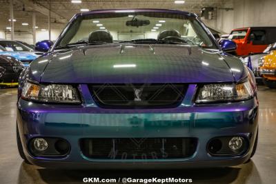 2004 Ford Mustang Cobra SVT