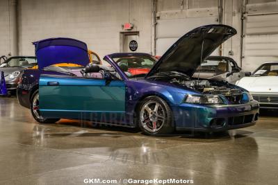 2004 Ford Mustang Cobra SVT