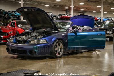 2004 Ford Mustang Cobra SVT