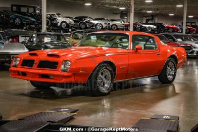 1976 Pontiac Firebird Espirit