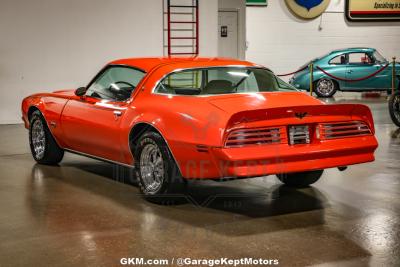 1976 Pontiac Firebird Espirit