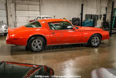 1976 Pontiac Firebird Espirit