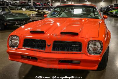 1976 Pontiac Firebird Espirit