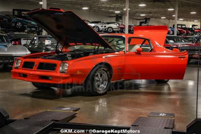 1976 Pontiac Firebird Espirit