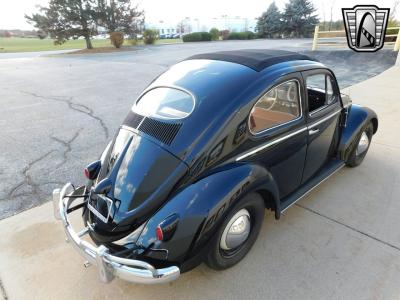 1956 Volkswagen Beetle