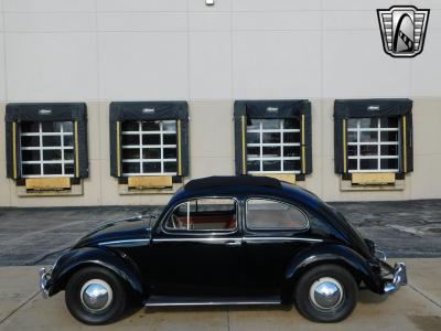 1956 Volkswagen Beetle