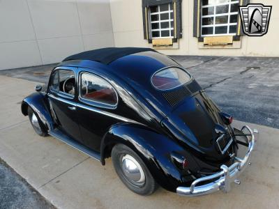 1956 Volkswagen Beetle