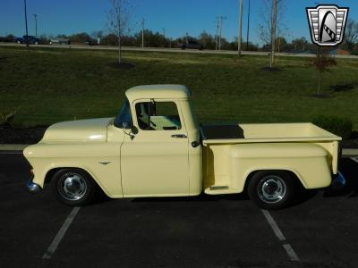 1955 Chevrolet 3100