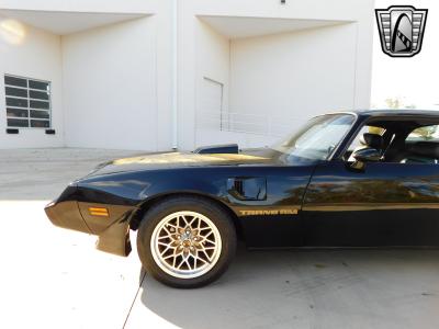 1979 Pontiac Firebird