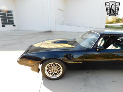 1979 Pontiac Firebird