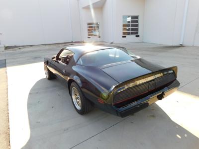 1979 Pontiac Firebird