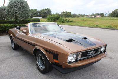 1973 Ford Mustang