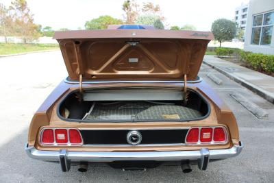 1973 Ford Mustang