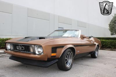 1973 Ford Mustang